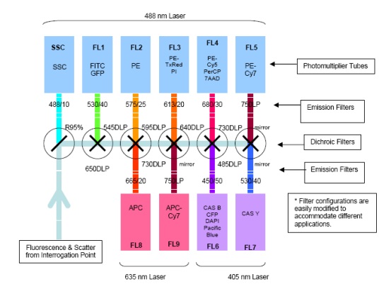 CyAn Configuration